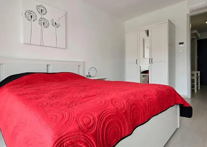 Silver Sun * 시오포크